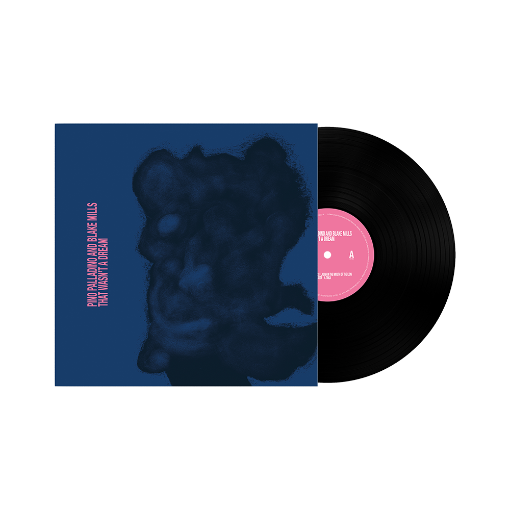 Pino Palladino, Blake Mills: That Wasn't A Dream LP