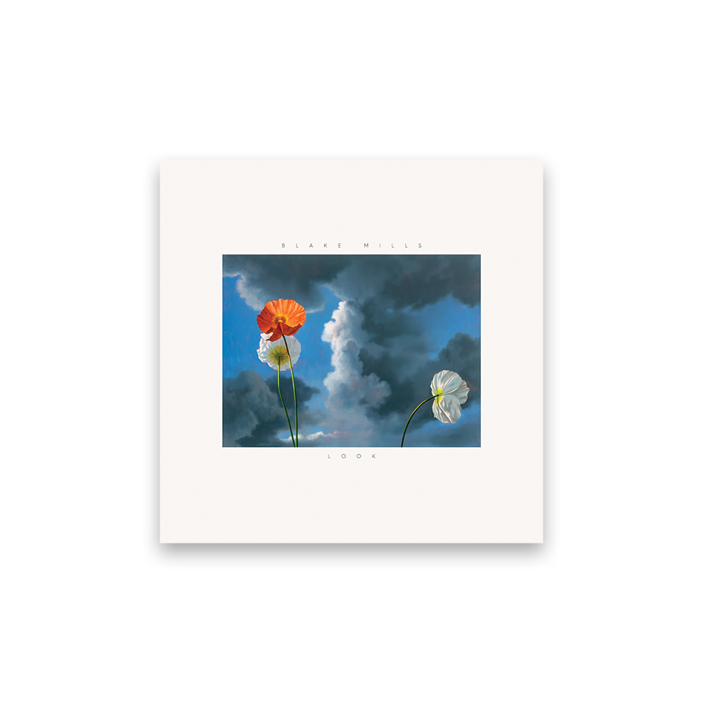 欧2discs LP Blake Mills Mutable Set 602508760327 New Deal Records, Verve Records /00520 Blake Mills: Mutable Set 2LP - Verve Record Store