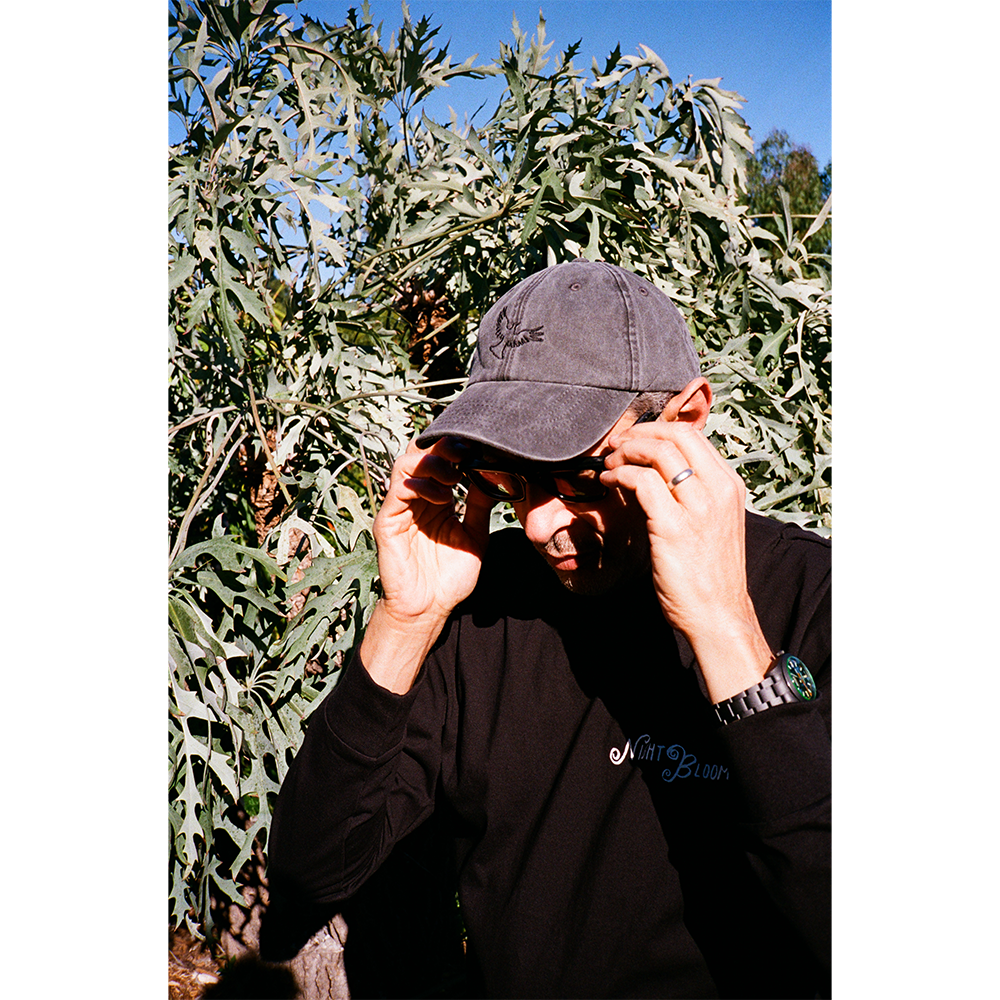 Night Blooms Cap in Black Jeff