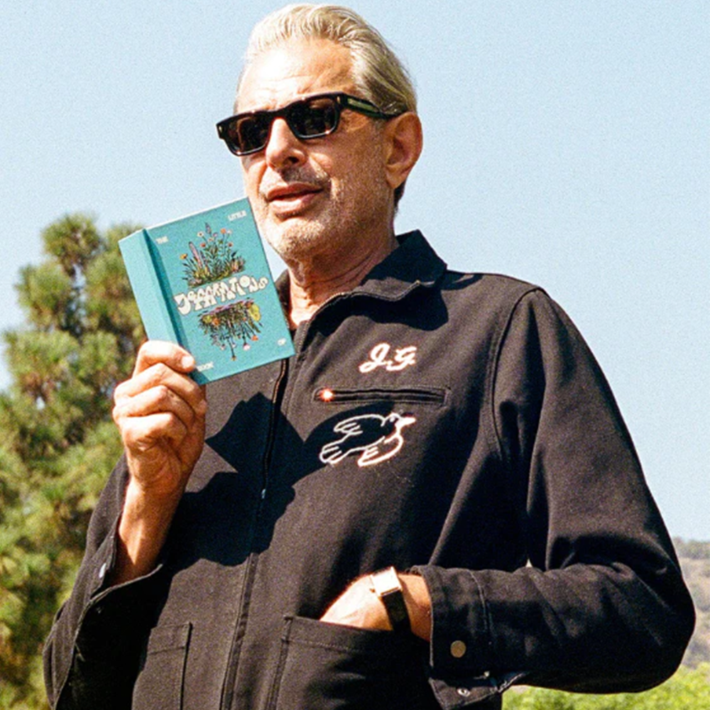 The Little Book of Jeffirmations Lifestyle shot 4 