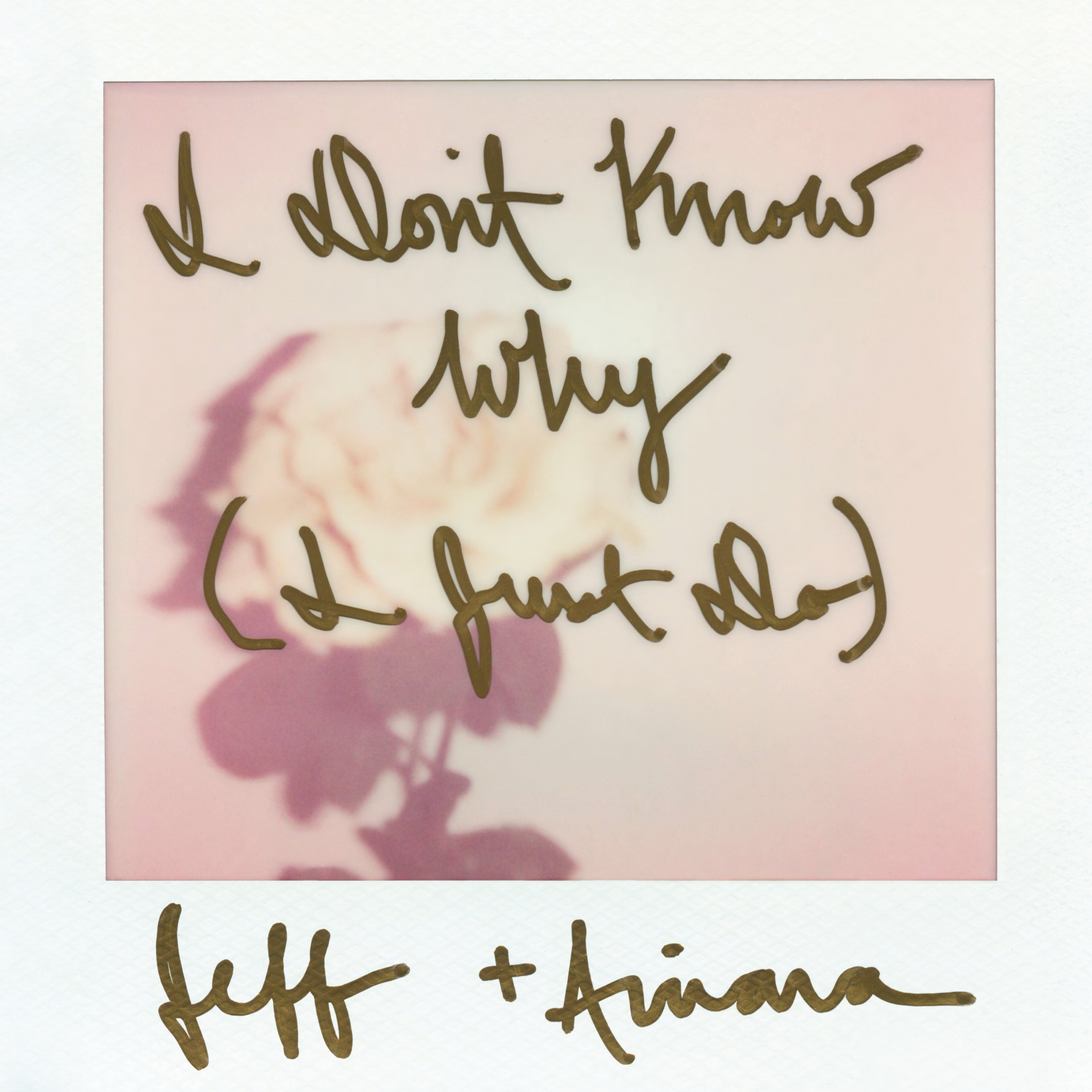 JeffGoldblum_ArianaGrande-IDontKnowWhy_7888689_Front