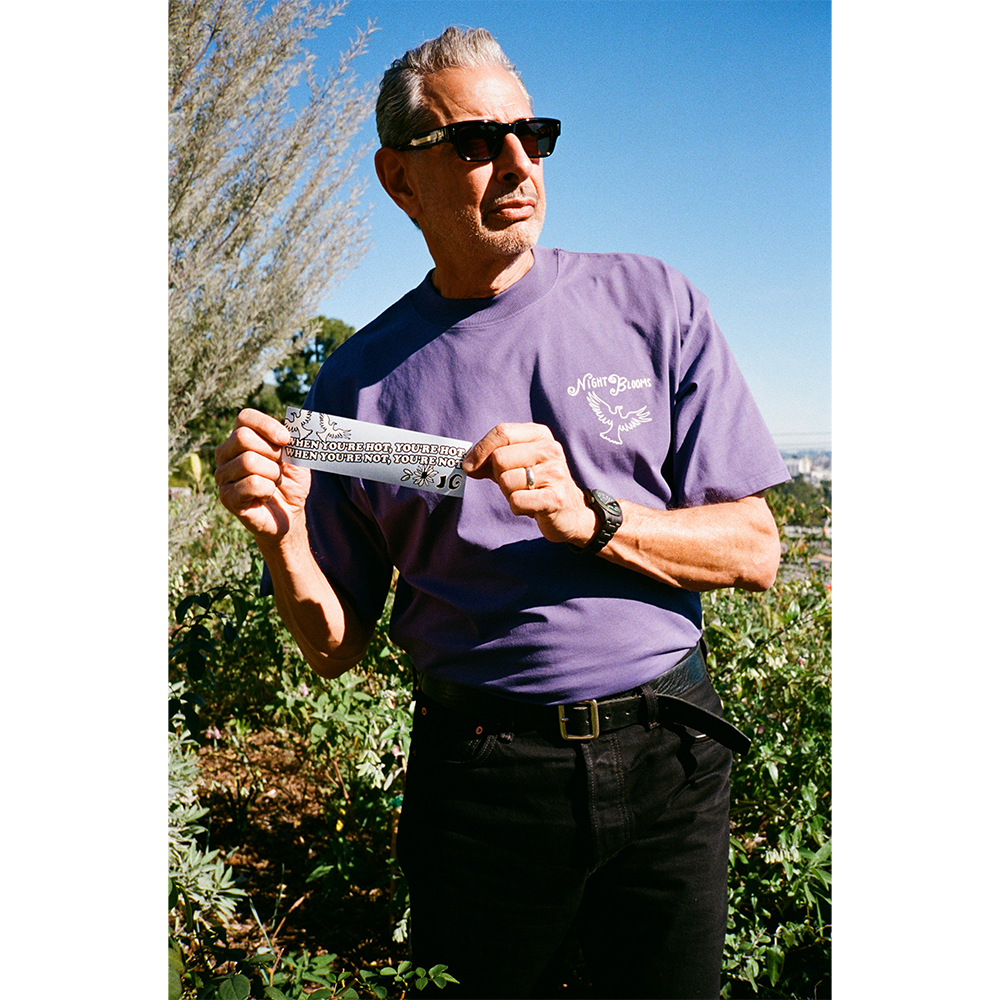 Night Blooms Bumper Stickers Jeff