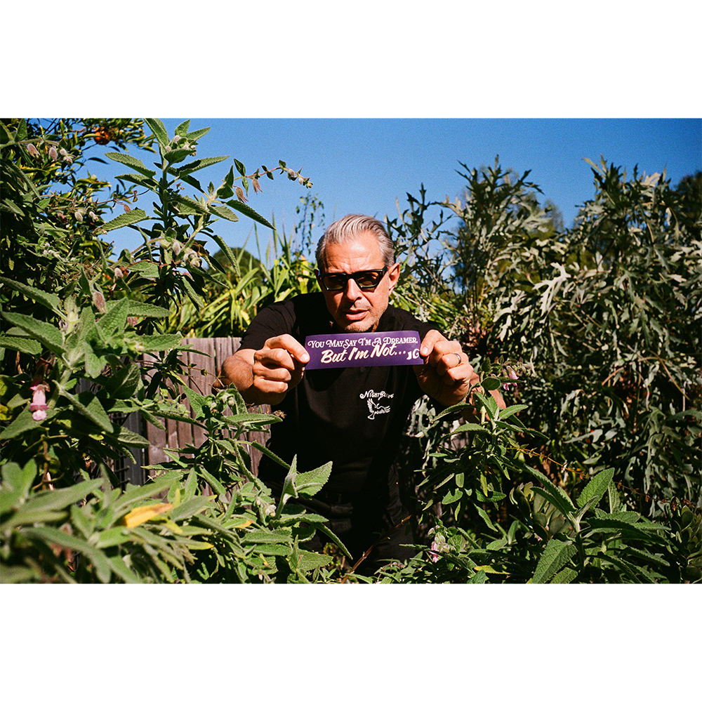 Night Blooms Bumper Stickers Jeff 2