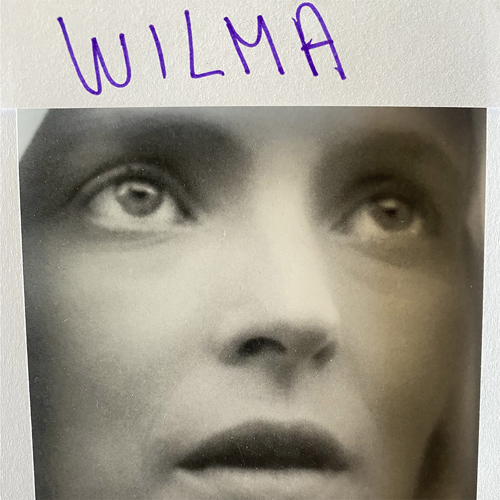 Daniele Luppi: Wilma Digital Album