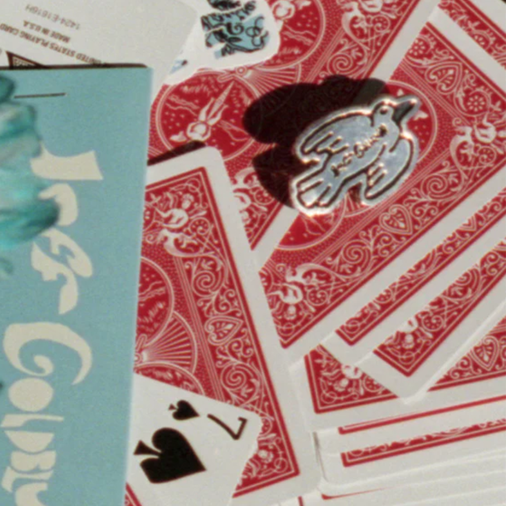 Bird Pin Lifestyle Shot 1