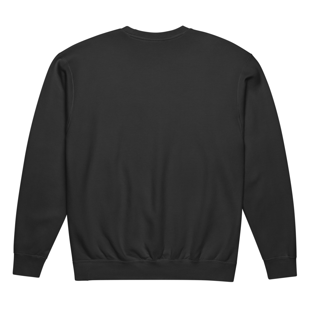 COLTRANE 100 LOGO SWEATSHIRT (BLACK) back